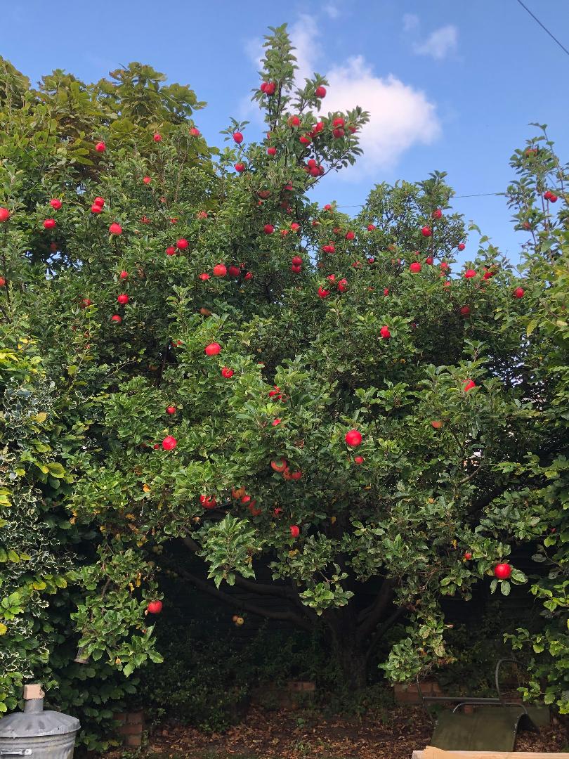 Farewell to September